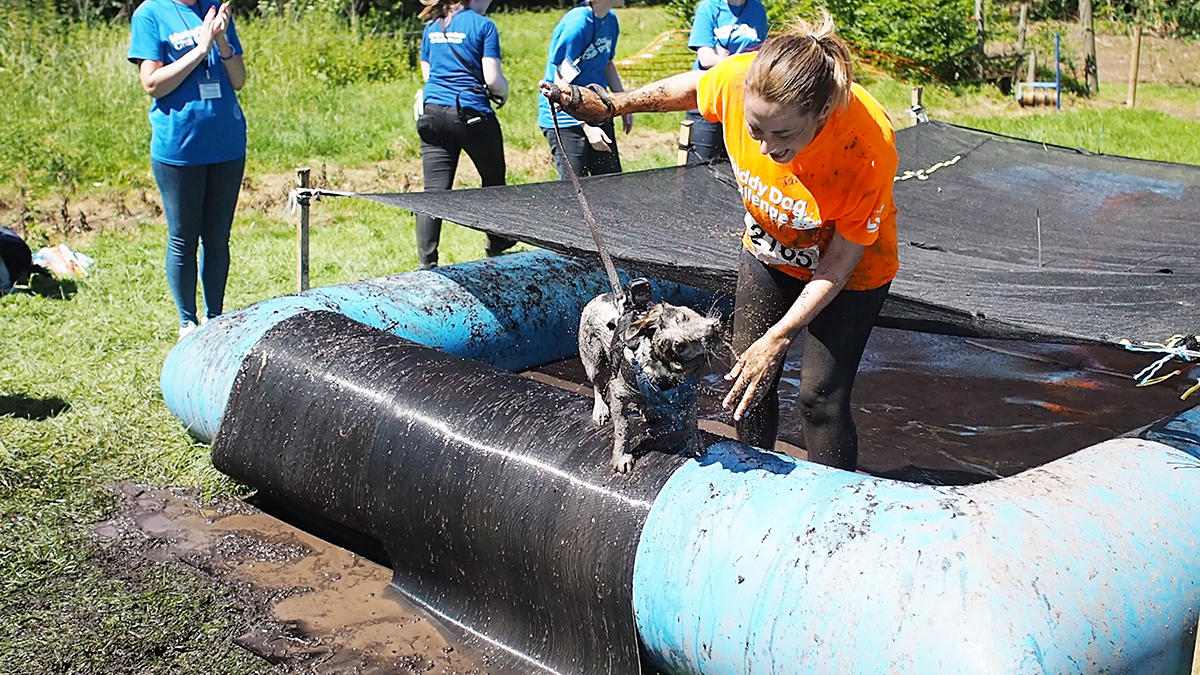 essex muddy dog challenge