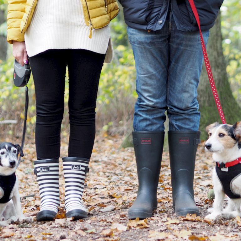 wellies and dog walks jack russells