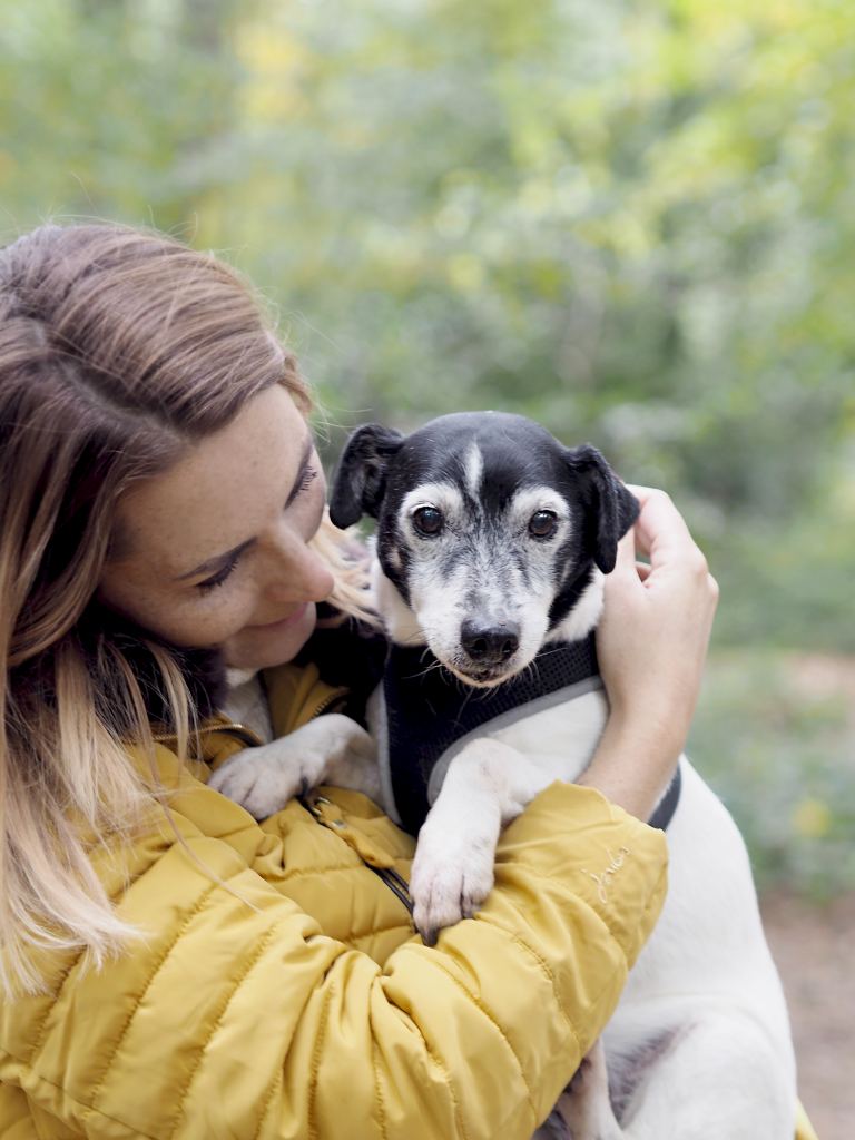 joules wellies canada