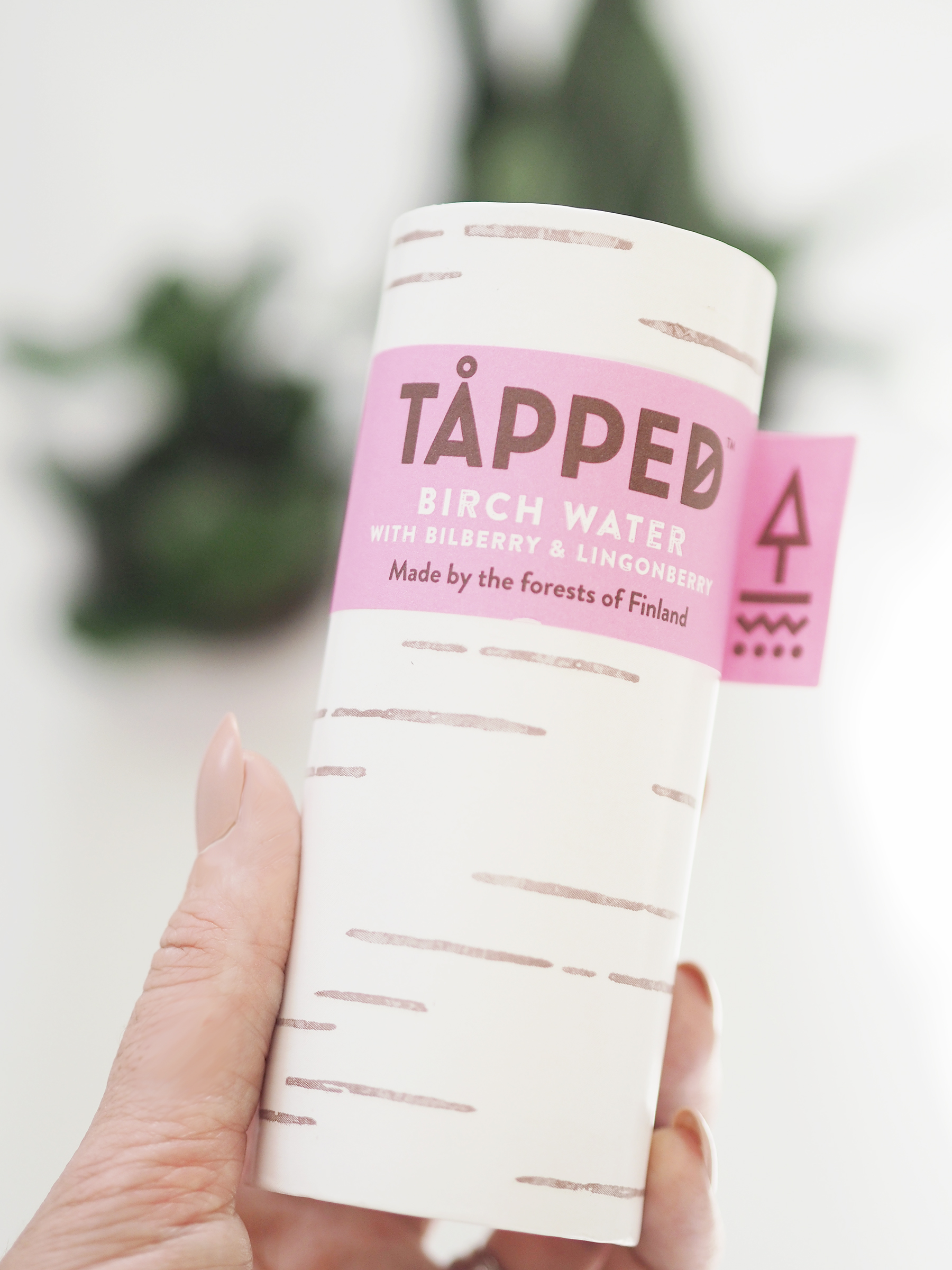 tapped birch water