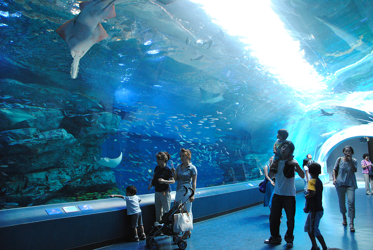 Aqua Park Aquarium Shinagawa Tokyo