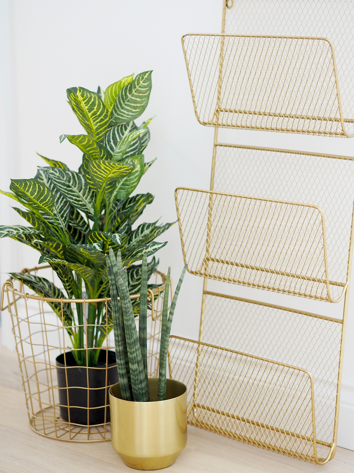 homesense gold wire magazine rack and fake plants